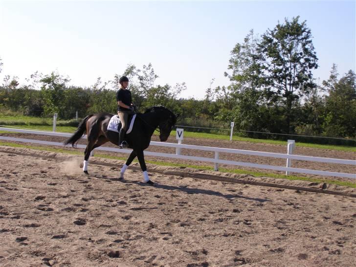 Billeder fra mit arbejde på stald sakstrup. billede 12