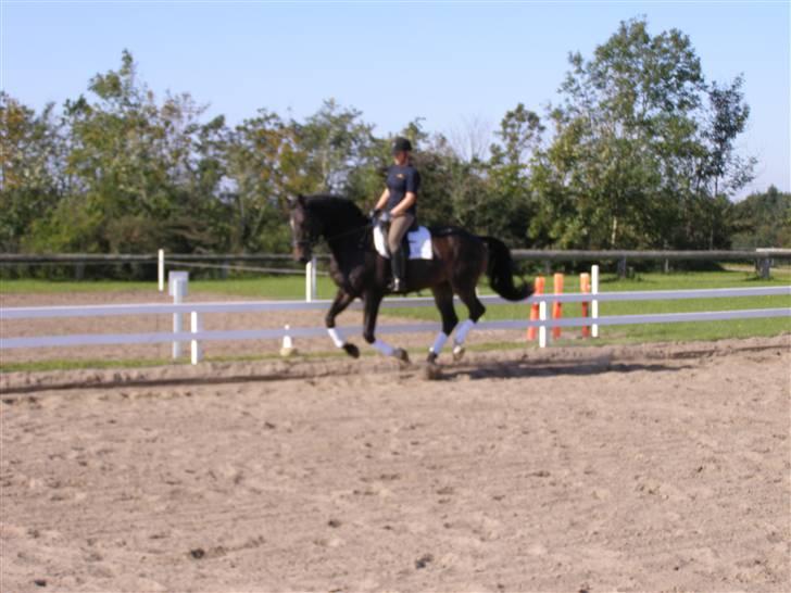 Billeder fra mit arbejde på stald sakstrup. billede 13