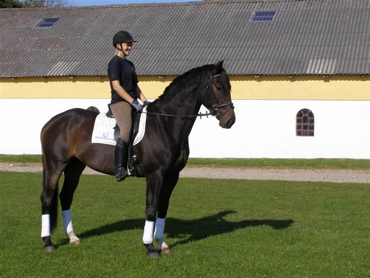 Billeder fra mit arbejde på stald sakstrup. billede 14