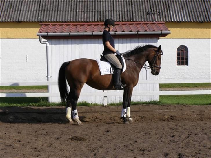 Billeder fra mit arbejde på stald sakstrup. billede 15