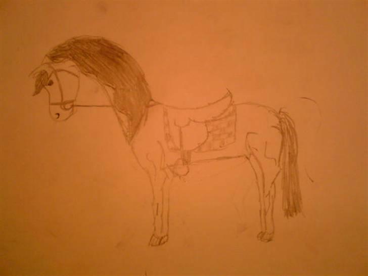 Flotte navneskilte og grimme tegninger :D - Tyyyynde hest :D - Trine billede 5