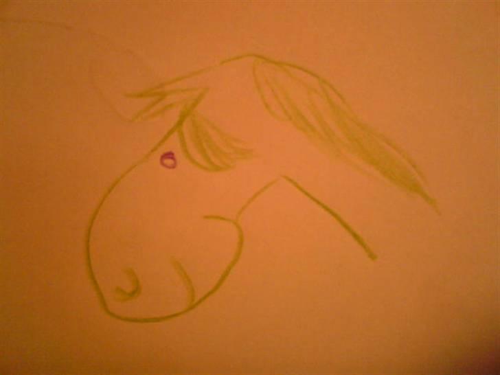 Flotte navneskilte og grimme tegninger :D - Seje hest :D - Trine billede 9