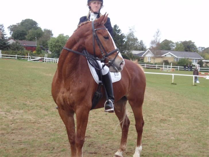 Sevel den. 29/9-08 - Til stævne i sevel rideklub ,,  den 29/9-08 billede 2