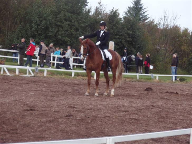 Sevel den. 29/9-08 - Til stævne i sevel rideklub ,,  den 29/9-08 billede 3