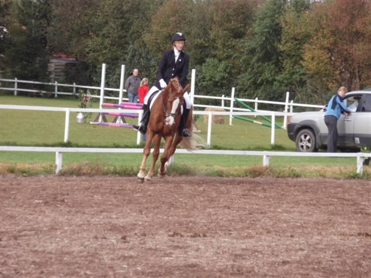 Sevel den. 29/9-08 - Til stævne i sevel rideklub ,,  den 29/9-08 billede 51