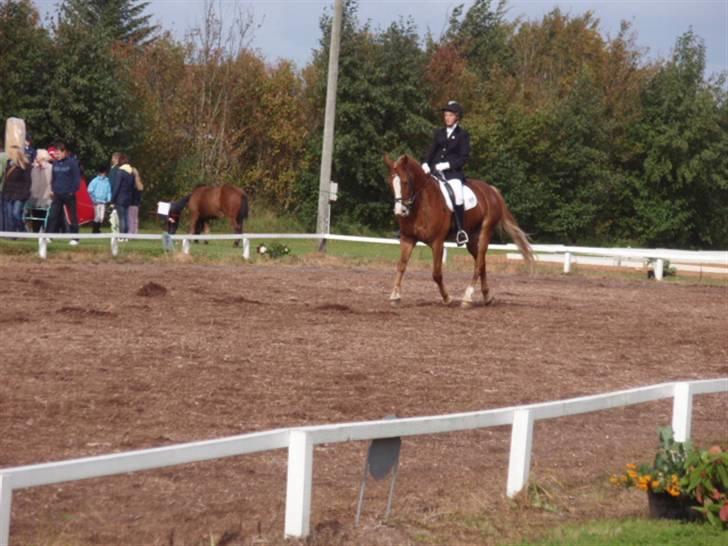 Sevel den. 29/9-08 - Til stævne i sevel rideklub ,,  den 29/9-08 billede 57