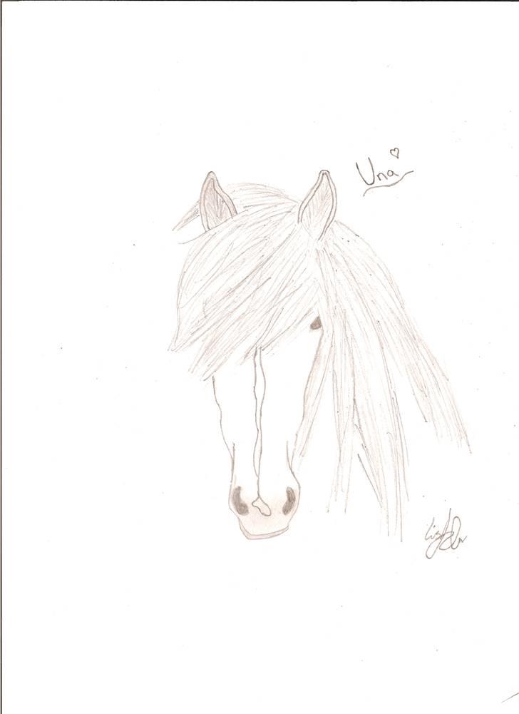 Mine tegninger - Dette er en tegning af "min" islænder plag på 3 år ved Navn Una. billede 1