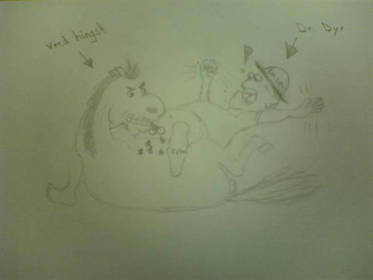 Mine tegninger - Dette er en lidt sjov tegning af en vred hingst der prøver at kastererer dyrlægen på sin helt egen måde. Jeg ved godt at tegningen er ond. billede 2