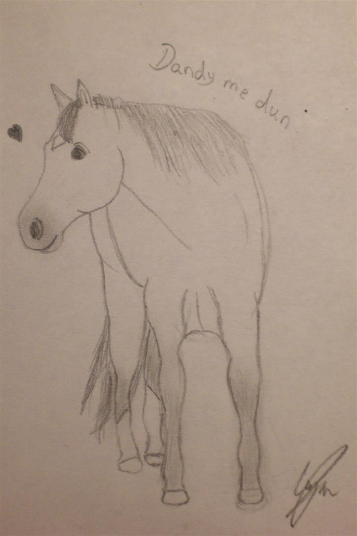 Mine tegninger - Dette er en tegning af CJ's hest Dandy Me Dun. billede 6