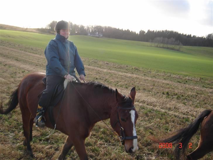 Hestevognstur billede 3