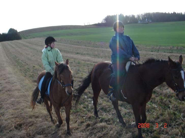 Hestevognstur billede 4