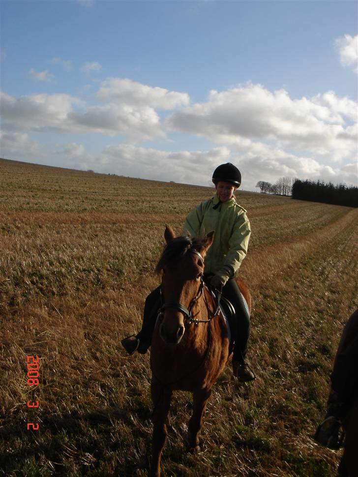 Hestevognstur billede 5