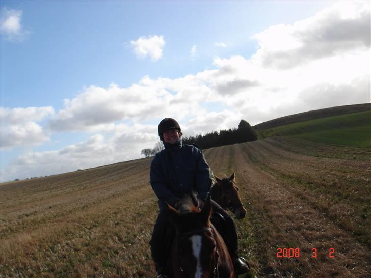 Hestevognstur billede 6