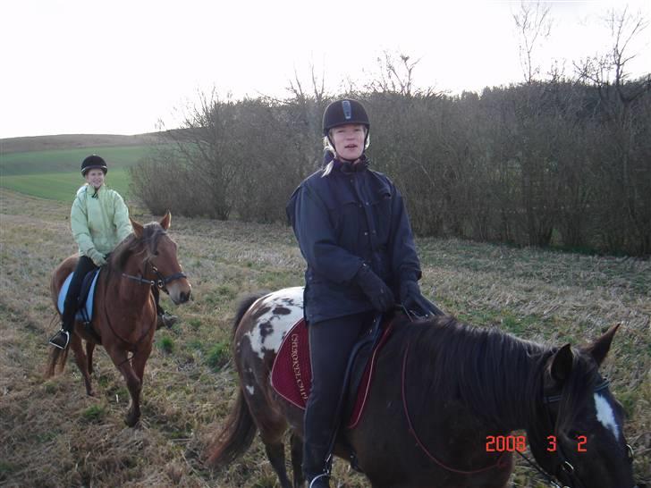 Hestevognstur billede 7