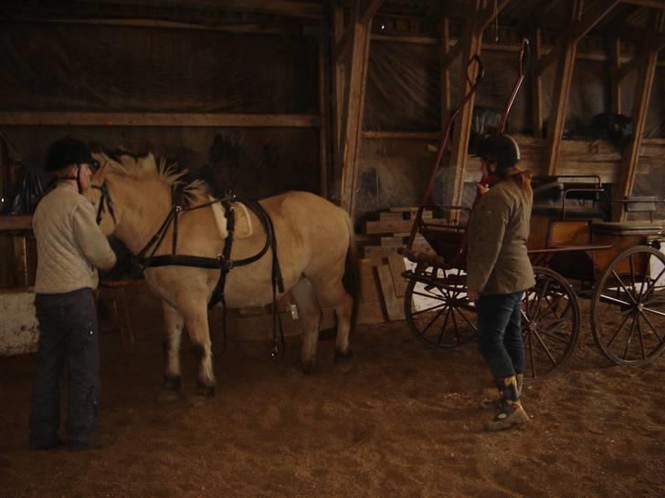 Hestevognstur billede 19