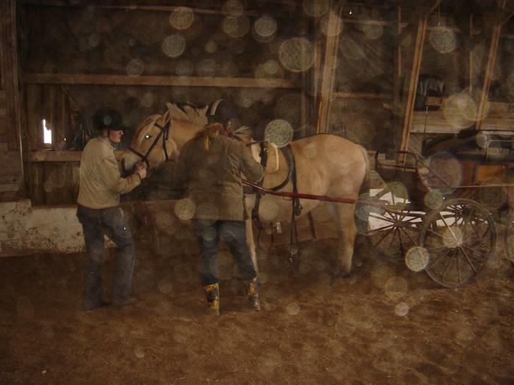 Hestevognstur billede 21