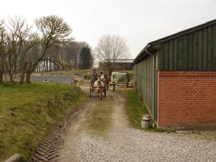 Hestevognstur billede 23