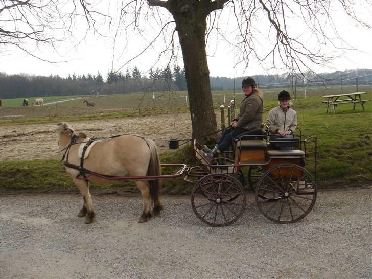 Hestevognstur billede 25