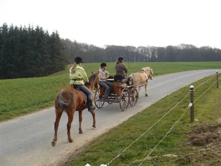 Hestevognstur billede 28