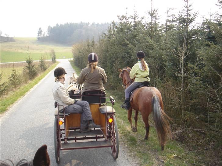 Hestevognstur billede 31
