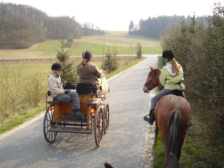 Hestevognstur billede 32