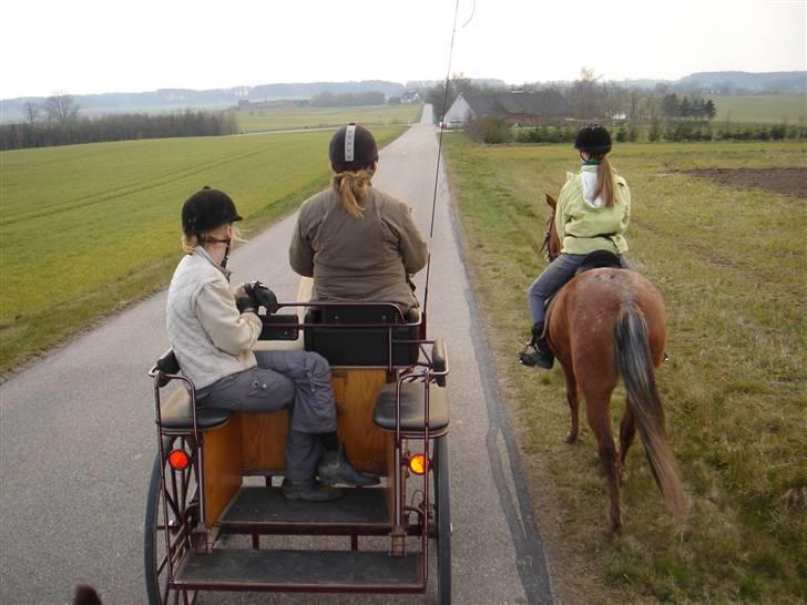 Hestevognstur billede 33