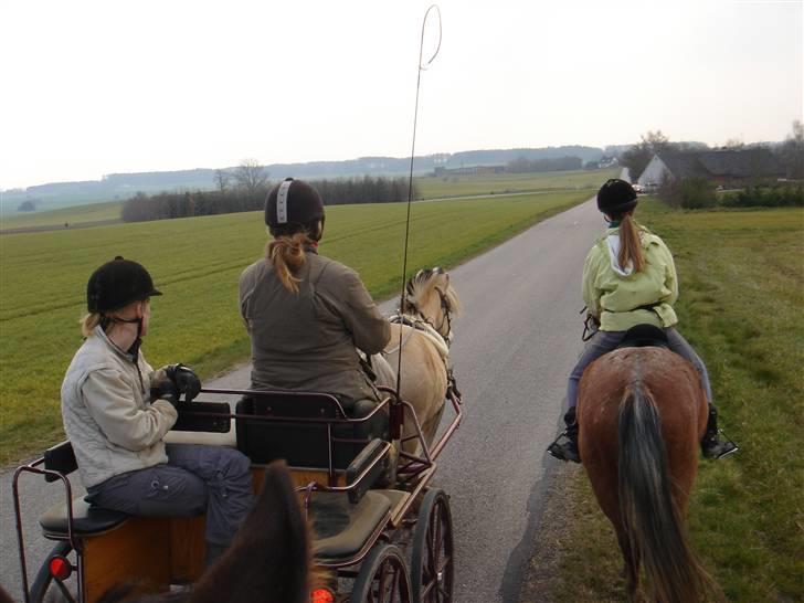 Hestevognstur billede 34