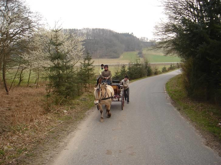 Hestevognstur billede 37