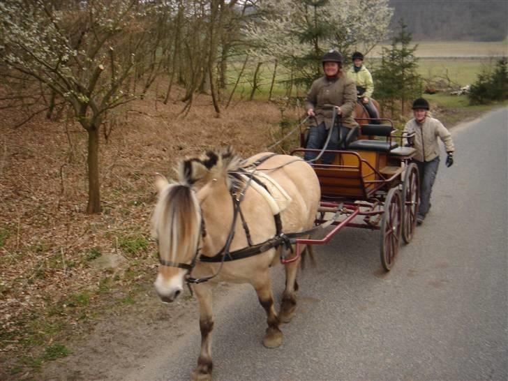 Hestevognstur billede 38