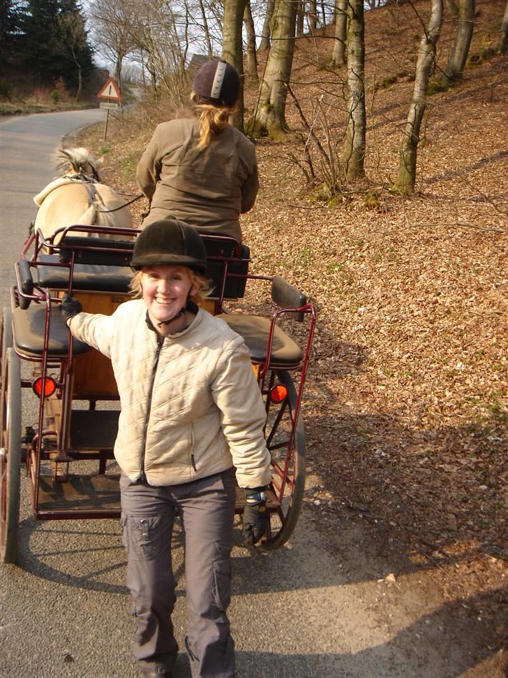 Hestevognstur billede 41