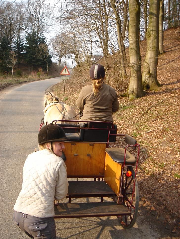 Hestevognstur billede 42