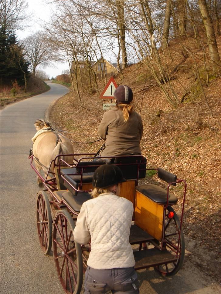 Hestevognstur billede 43