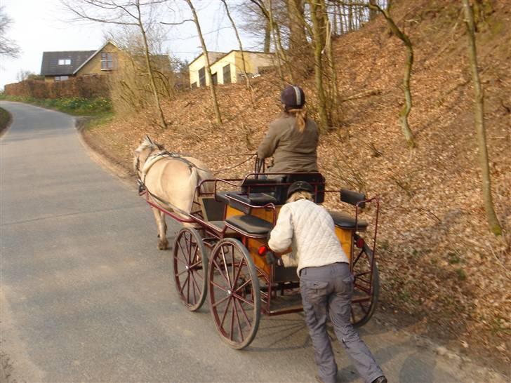 Hestevognstur billede 44