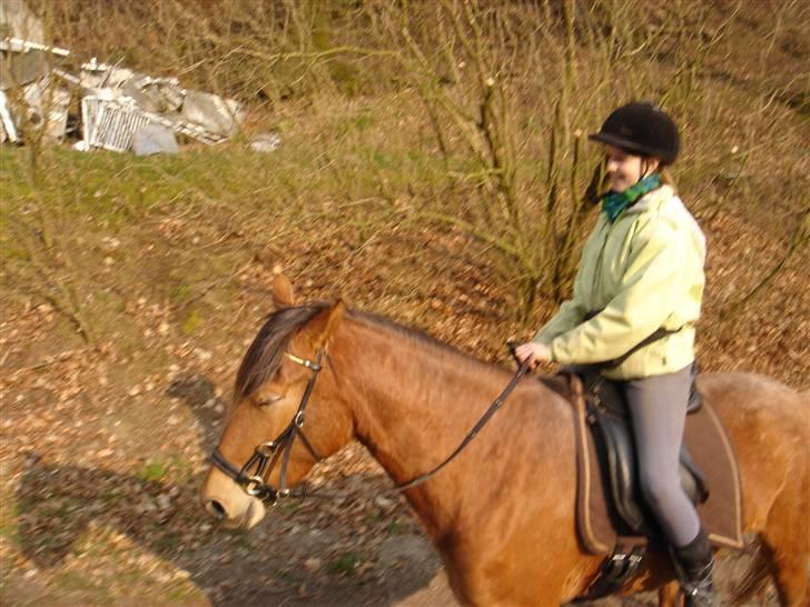 Hestevognstur billede 47