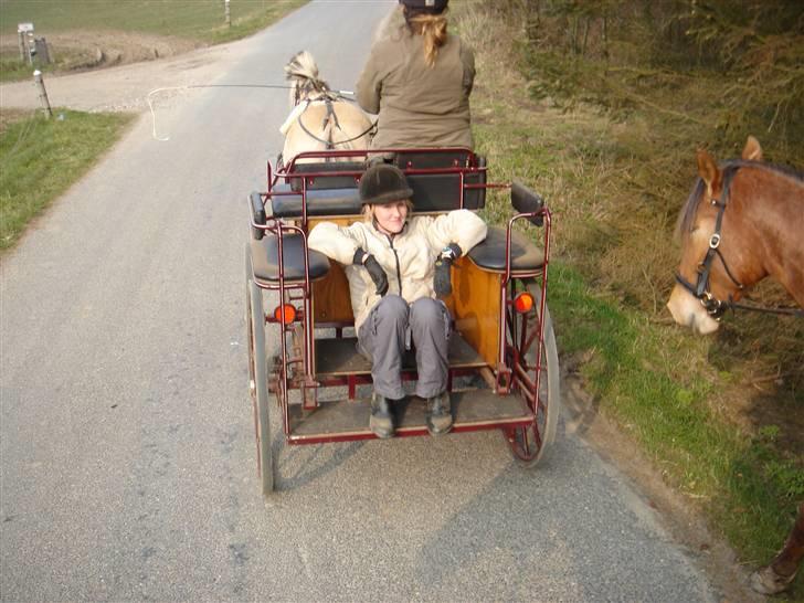 Hestevognstur billede 50
