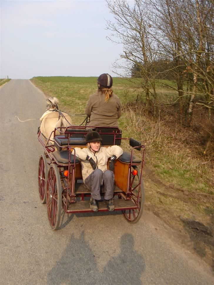 Hestevognstur billede 52