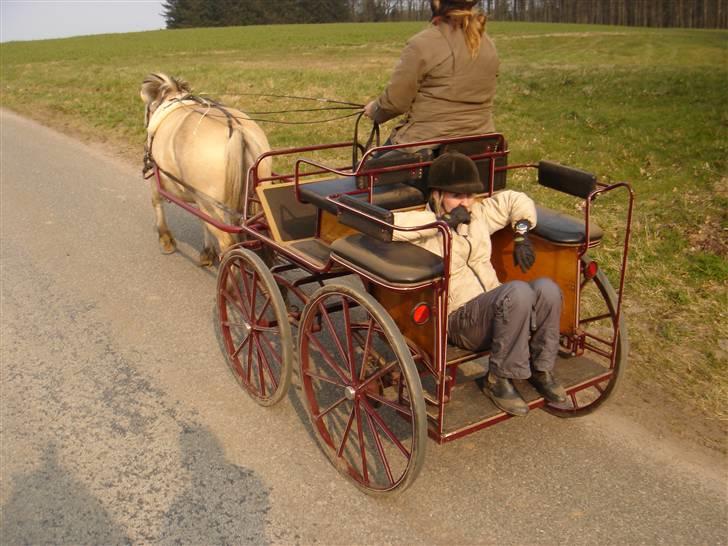 Hestevognstur billede 53