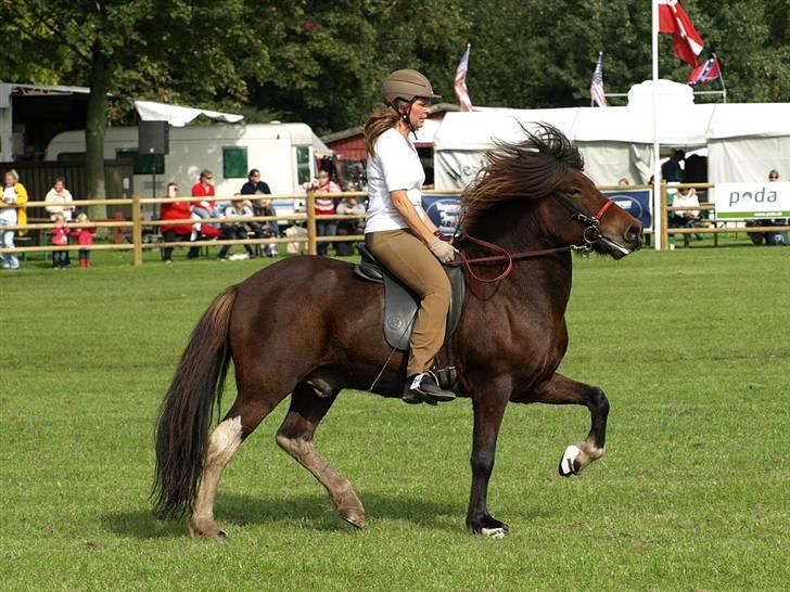 Søde heste billede 9