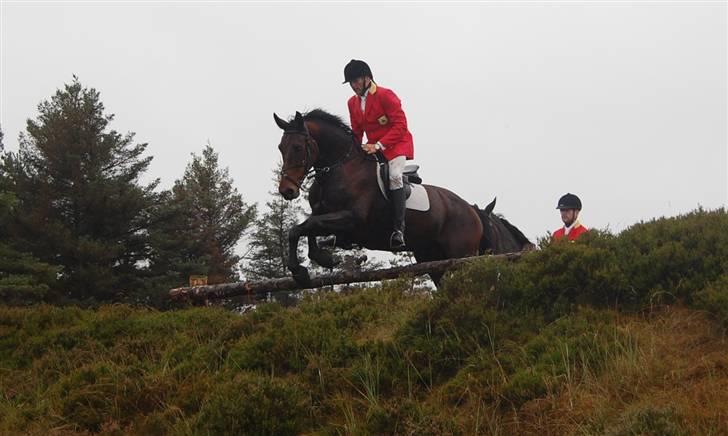 Jagt Hjerl hede - august 08 billede 1