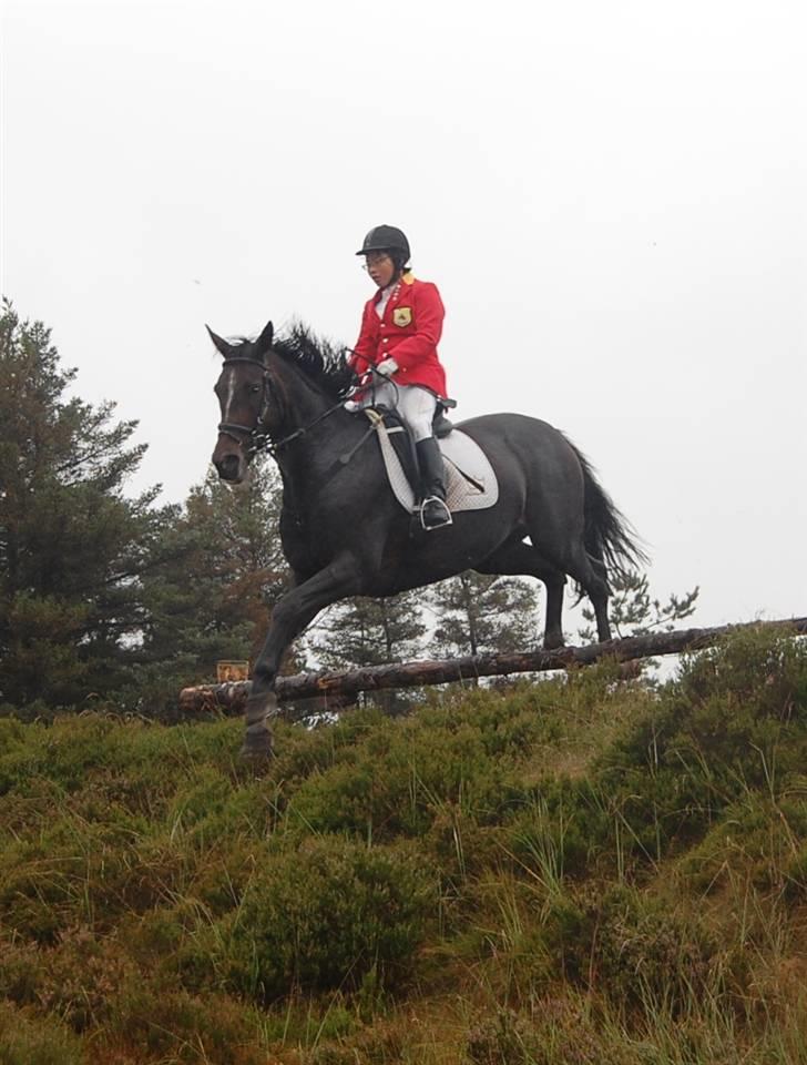 Jagt Hjerl hede - august 08 billede 2