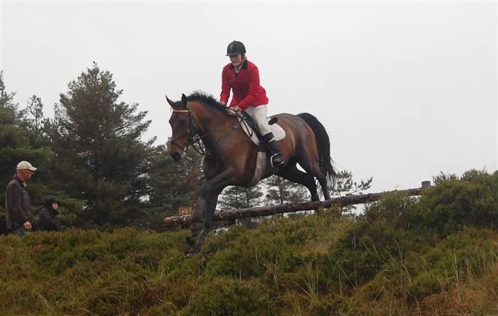 Jagt Hjerl hede - august 08 billede 3