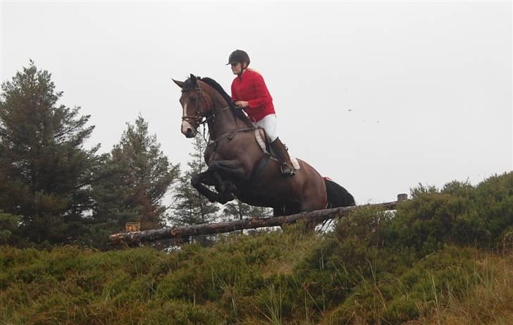 Jagt Hjerl hede - august 08 billede 4