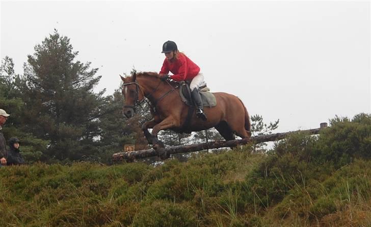 Jagt Hjerl hede - august 08 billede 5