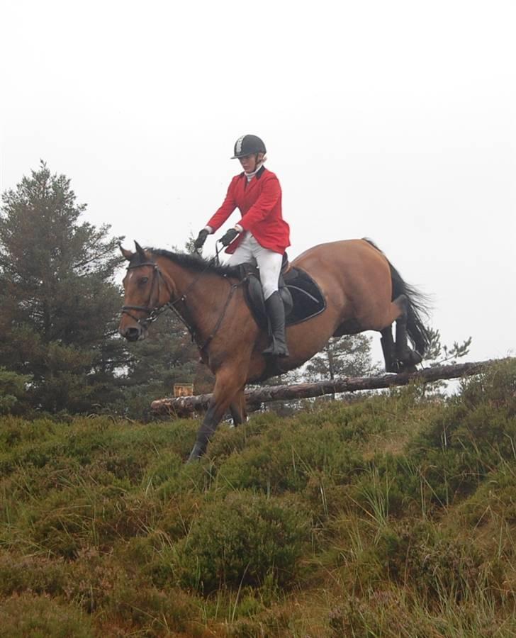 Jagt Hjerl hede - august 08 billede 6