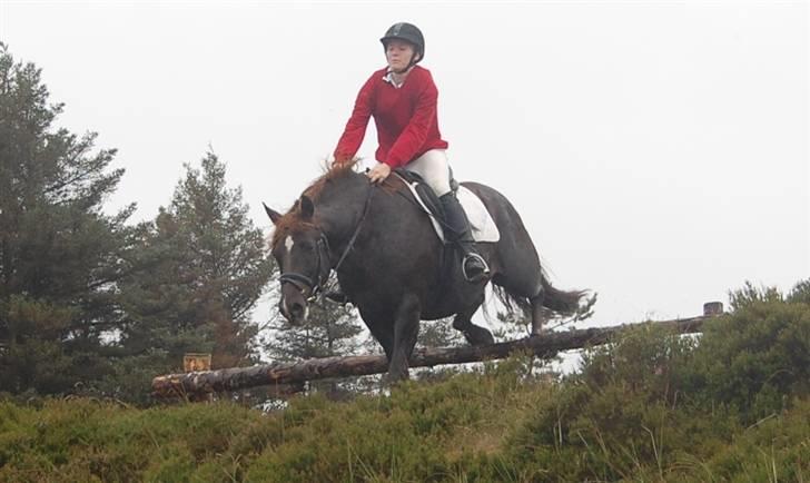 Jagt Hjerl hede - august 08 billede 7