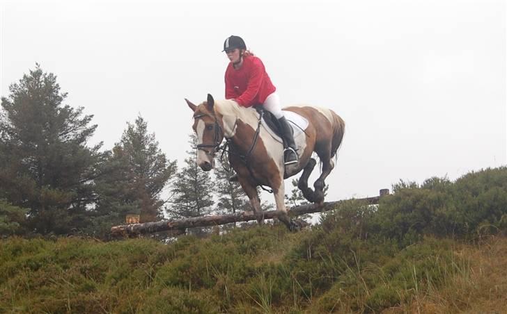 Jagt Hjerl hede - august 08 billede 8