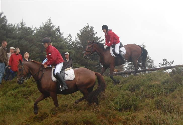 Jagt Hjerl hede - august 08 billede 9