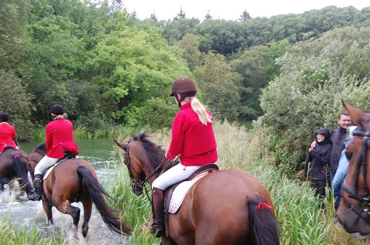 Jagt Hjerl hede - august 08 billede 10