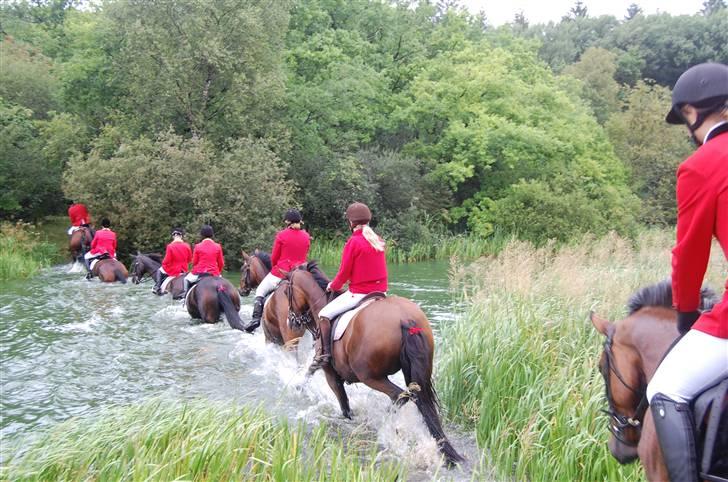 Jagt Hjerl hede - august 08 billede 11