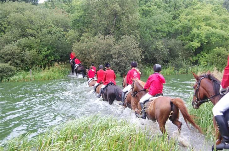 Jagt Hjerl hede - august 08 billede 13